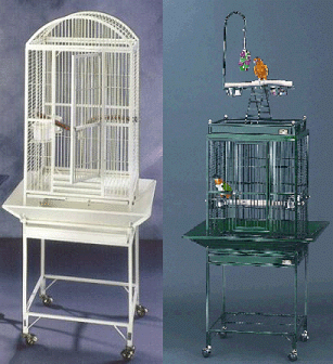 Avian Adventures Nina Small Bird Cage: Playtop and Dometop